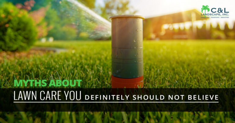 Myths About Lawn Care You Definitely Should Not Believe