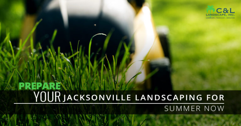 Prepare Your Jacksonville Landscaping For Summer Now