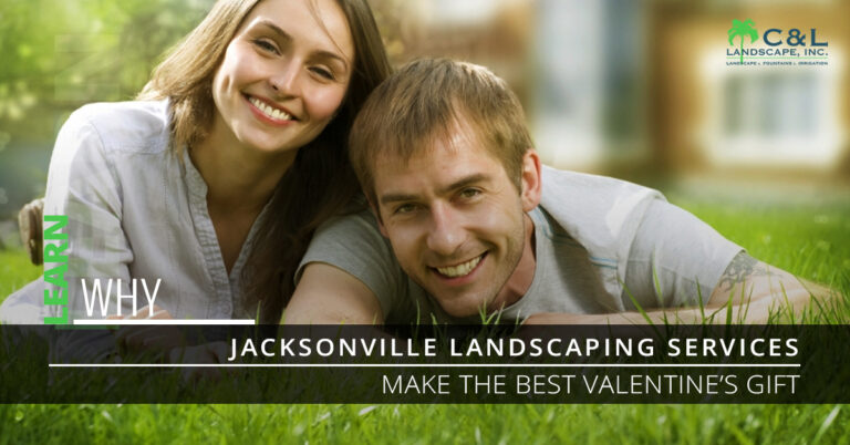 Learn Why Jacksonville Landscaping Services Make The Best Valentine’s Gift