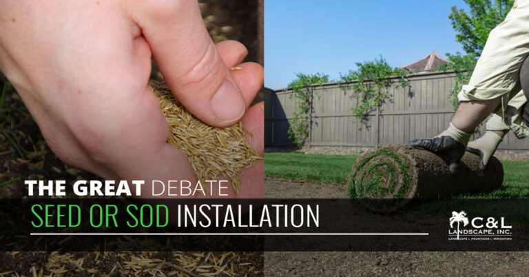 The Great Debate: Seed Or Sod Installation