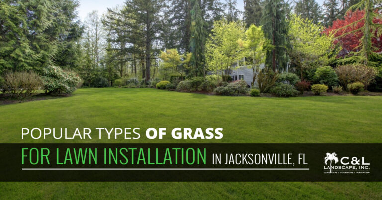 Popular Types Of Grass For Lawn Installation In Jacksonville, FL