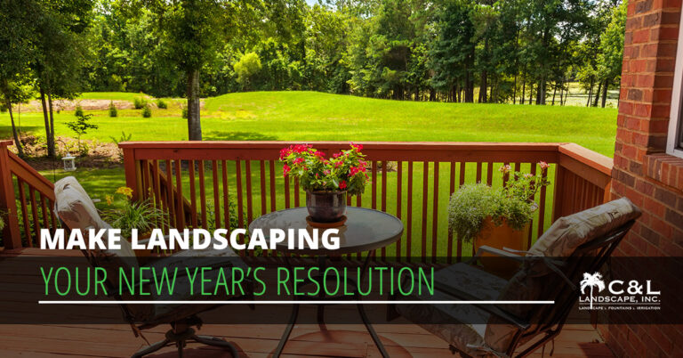 Make Landscaping Your New Year’s Resolution