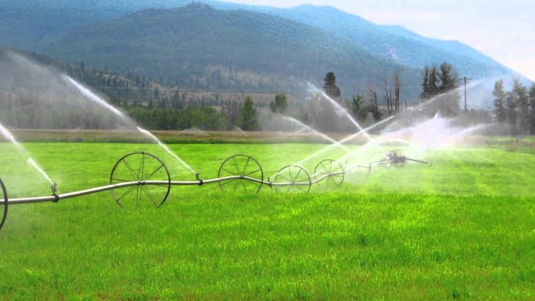 Reliable Irrigation for Commercial Sites